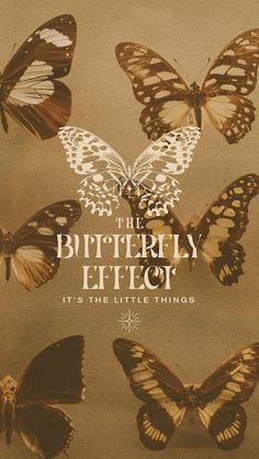 the butterfly effect it's the little things