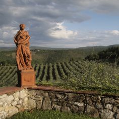 a statue stands in the middle of a field