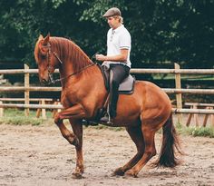 a man riding on the back of a brown horse