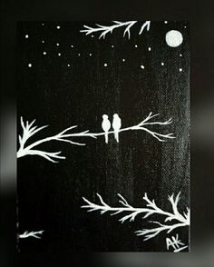 two birds sitting on a tree branch at night