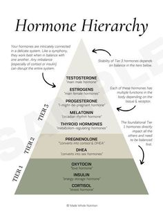 Hormone Nutrition, Survival Videos, Functional Health, Cycle Syncing, Endocrine Disruptors, Healthy Hormones, Menstrual Health, Feminine Health, Happy Hormones