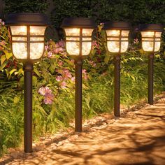 four lights are lined up on the side of a path in front of some bushes and flowers