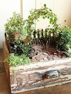 an old wooden box filled with lots of green plants and small garden decorations on top of it