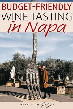 a man standing next to a tree with the words budget - friendly wine tasting in napa