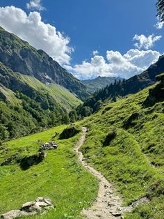 a path in the middle of a green valley