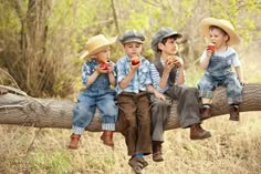 four young boys sitting on a log eating apples in the woods while wearing cowboy hats and overalls