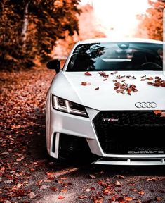 a white car parked on the side of a road with leaves all over it's hood