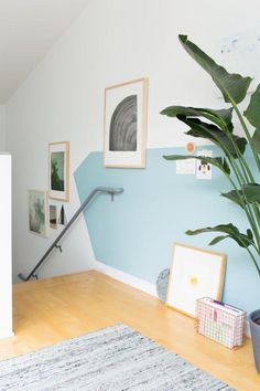 a living room with blue walls and pictures on the wall next to a potted plant