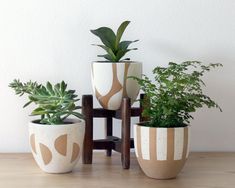 three potted plants sitting on top of a wooden table