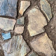 a close up of some rocks on the ground