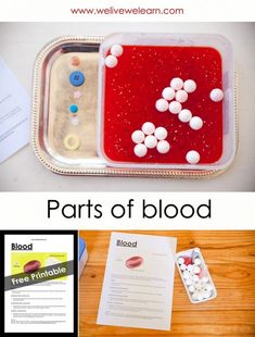 an image of parts of blood in a container with text overlay that says parts of blood