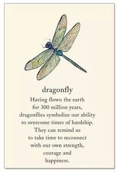 a dragonfly is shown on the back of a card that reads,'dragonfly having flown the earth for 300 million years, dagonics symbolize our ability to overcome