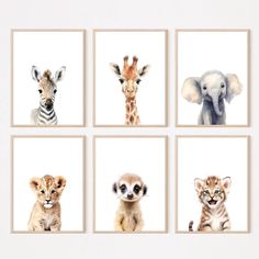 four pictures of different animals on white background