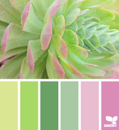 green and pink color palette with flowers