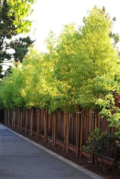 a long wooden fence is lined with trees