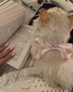 a person is reading a book with a cat on their lap