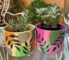 two potted plants sitting on top of a glass table