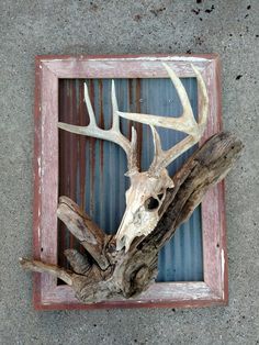 a deer skull is mounted in a wooden frame on the concrete floor with rusted metal bars