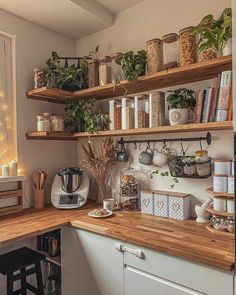 a kitchen with shelves filled with plants and food