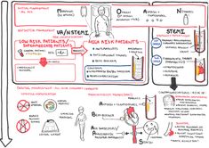 a hand drawn diagram shows the various stages of an experiment and how to use it