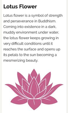 the lotus flower app on an iphone