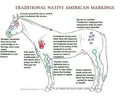 the diagram shows how to draw a horse's body in different colors and markings