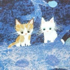 two kittens are sitting on a blue surface