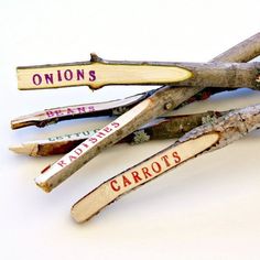 several pieces of wood that have been carved to look like branches with words on them