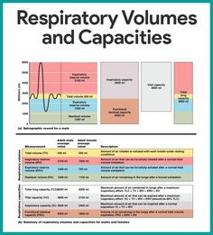 the book cover for respiratory volumenes and capacities, with an image