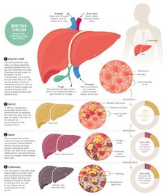 4 People, The Human Body, Lungs, Life Science