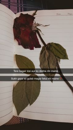 an open notebook with a rose on it and the words, take beggari kartu to sabun ni marine