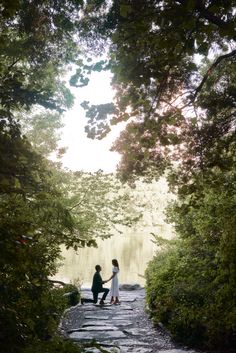 two people standing on a stone path in the woods