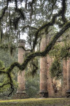 an old brick building surrounded by trees and moss