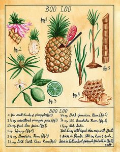 a drawing of different types of plants and fruits on paper with numbers in the bottom left corner