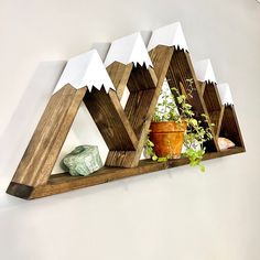 a wooden shelf with plants and rocks on it