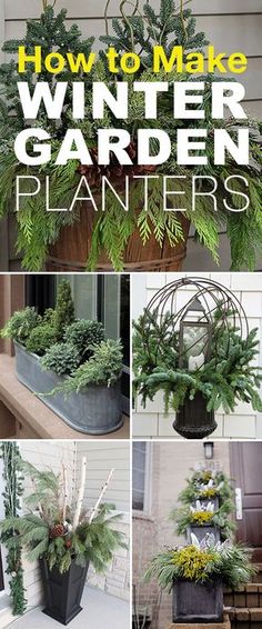 how to make winter garden planters