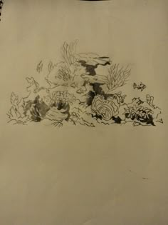 pencil drawing of flowers and plants on paper