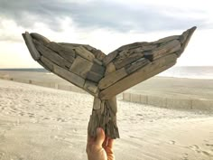 a hand holding up a piece of driftwood on the beach