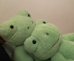 two green teddy bears sitting next to each other