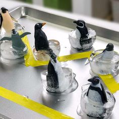 penguins are sitting on ice in small glass bowls, with yellow tape around the edges