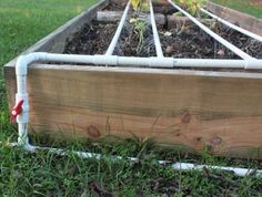 a garden box with plants growing in it