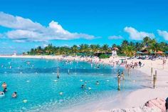 many people are swimming in the clear blue water at this tropical beach area with white sand and palm trees