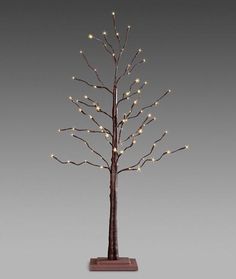 a lighted tree with white lights on it's branches in a wooden stand against a gray background