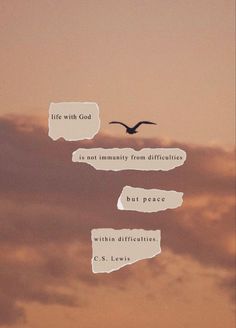 a bird flying through the sky with some words above it that read life with god is not immutity from differences but peace within affirmities