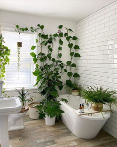 a bathtub with plants in it next to a sink