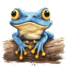 a blue and yellow frog sitting on top of a tree branch with its eyes wide open