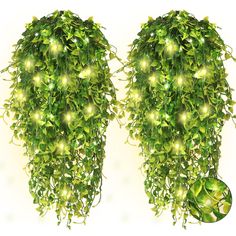 two green plants with lights on them are in the shape of an oval shaped object