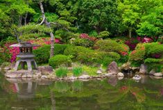 a small pond surrounded by trees and flowers