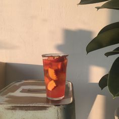 a glass filled with liquid sitting on top of a metal container next to a potted plant