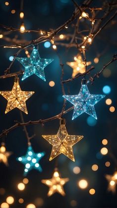 star shaped lights hanging from a tree branch